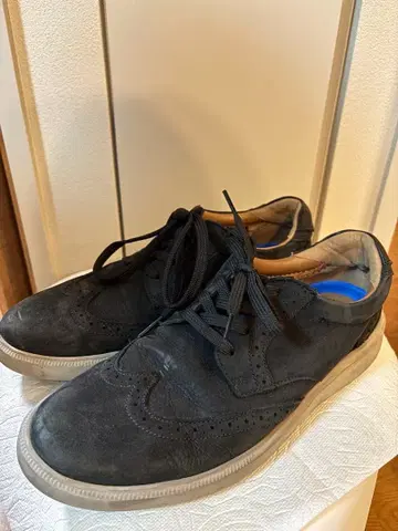 클락스 캄브로 윙 스니커즈