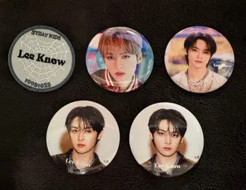 Straykids 공식 굿즈 캔뱃지 5개 세트 리노