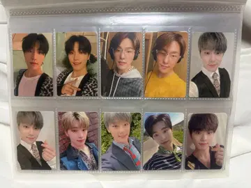 [ SEVENTEEN ] 디노 묶음 판매