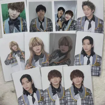 멍멍멍멍 고양이냐옹냐옹 하피카 트레이딩 카드