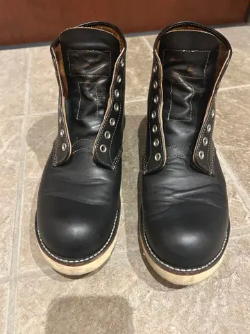 레드윙 9870 개 택 차심 D 와이즈