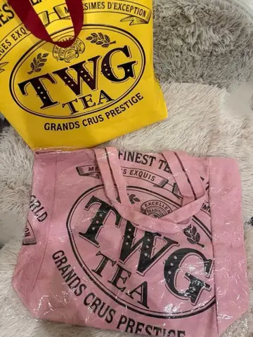 싱가포르 TWG 토트백 에코백 캠퍼스