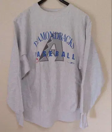 챔피온 리버스 위브 90s