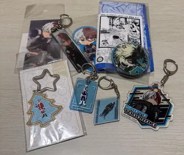 토도로키 쇼토 히로아카