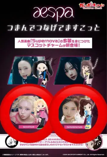 [미사용 새상품] aespa 마스코트 참 윈터