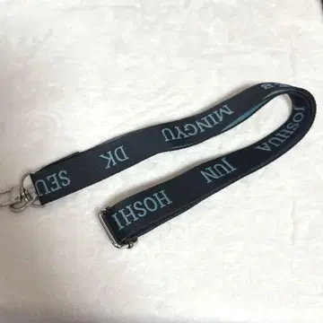 seventeen 세븐틴 케렌 caratland 숄더 스트랩