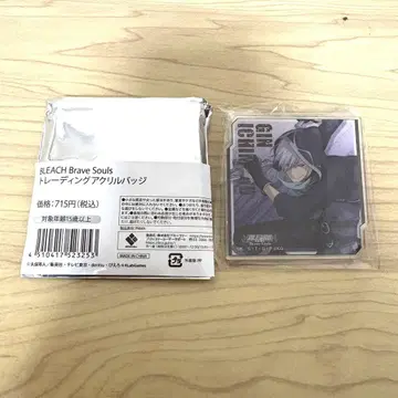 BLEACH 브레솔 이치마루 긴