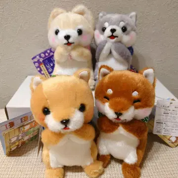 콩시바 삼형제 다 같이 조르기 LMC 컴플리트 시바견 마스코트