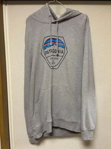 patagonia 그레이 후드티