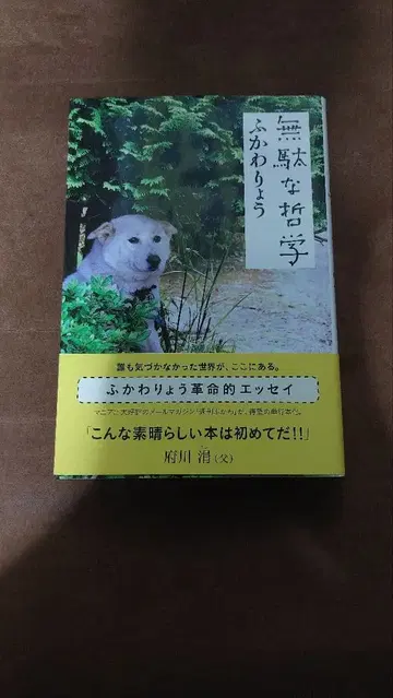 헛된 철학 후카와 료 사인 포함 초판 오비 포함 단행본