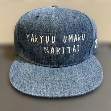 강 244 야구 잘하고 싶다 캡