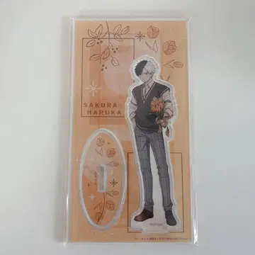 사쿠라 하루카 아크릴 스탠드 Flower Gift Collection