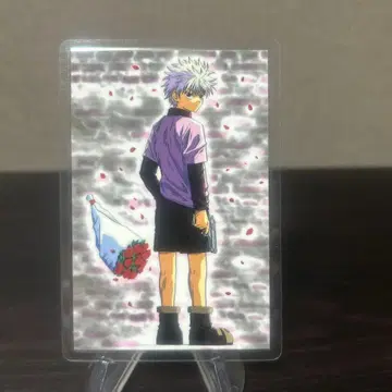 헌터헌터 HUNTER x HUNTER 키루아 라미카