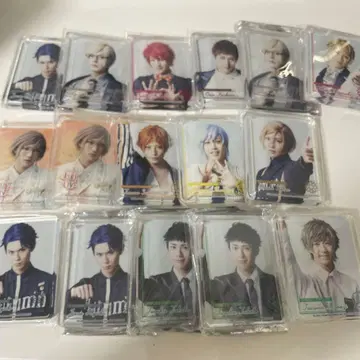 에이스테 코롯타 묶음 판매