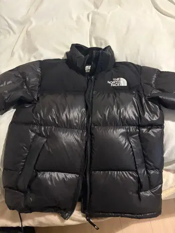 The NORTH FACE 눕시 한국 눕시