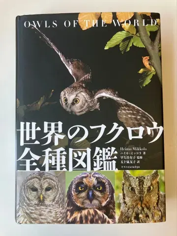 세계의 올빼미 전종 도감