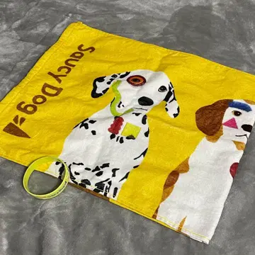 Saucy Dog 타월 러버 밴드 세트