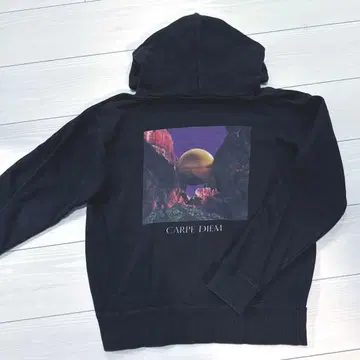 THE BACK HORN 더 백혼 기모 후드티