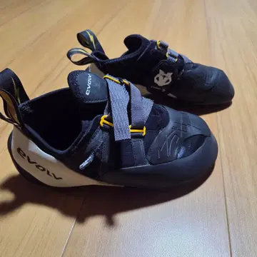 샤먼 프로 이볼브 US9