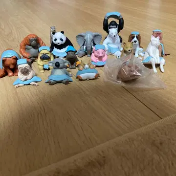 동물 사우나 묶음 판매