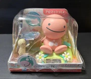 햇살의 민족 노호혼족 아로마와 함께 정크