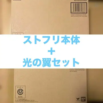 METAL BUILD 스트라이크 프리덤 건담 & 빛의 날개 옵션 세트