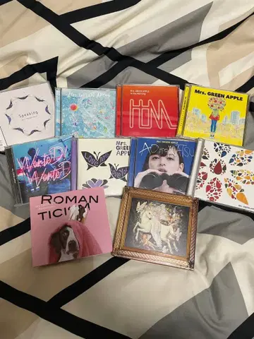 미세스 그린애플 싱글 10장 세트