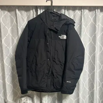 THE NORTH FACE GORE-TEX 다운 자켓 L 사이즈