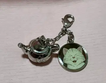 드래곤볼 Z 메탈 참 카린님