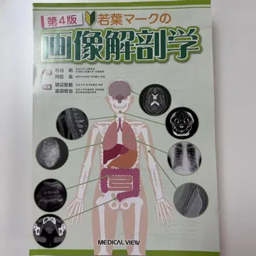 재단된 와카바 마크 이미지 해부학 제4판