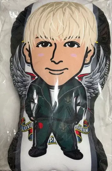 하세가와 신 BIG 쿠션