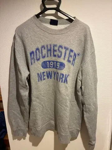 Champion Rochester 1919 NY 스웨트 셔츠