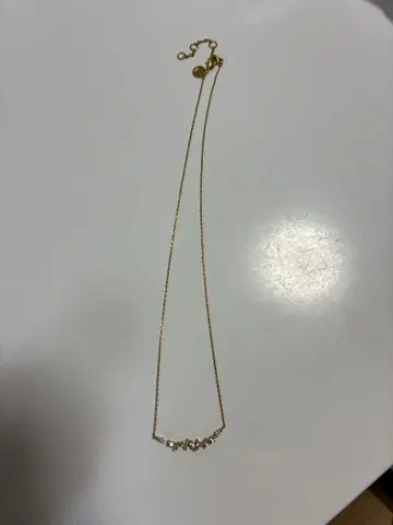 골드 체인 목걸이