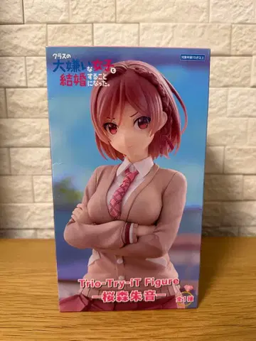 반에서 제일 싫어하는 여자와 결혼하게 되었다 피규어