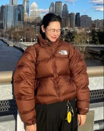 The North Face nuptse 1996 down jacket