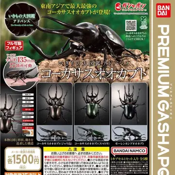 생물대도감 어드밴스 코카서스장수풍뎅이 2종류 [미개봉]