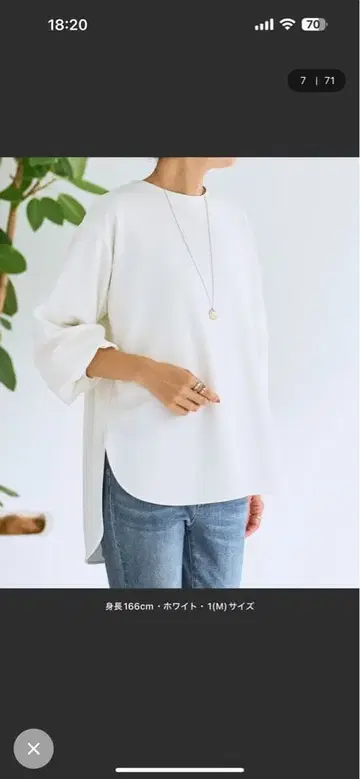 비어즐리 T 블라우스