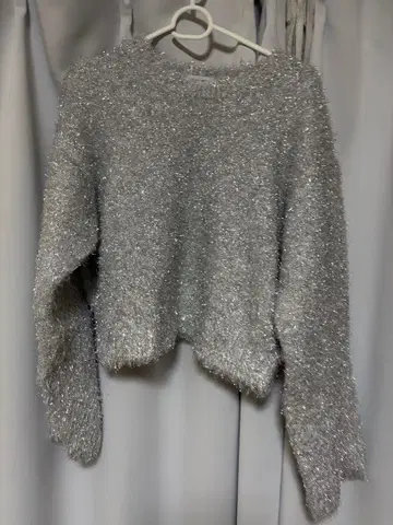 JEANASiS 실버 크롭 니트 스웨터