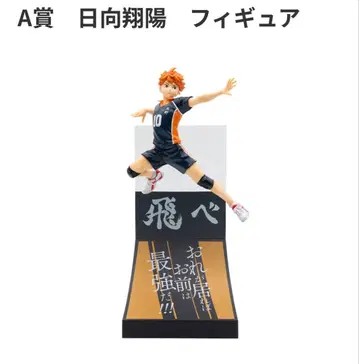 하이큐 HAPPY 복권 해피 복권 A상 히나타 쇼요 피규어