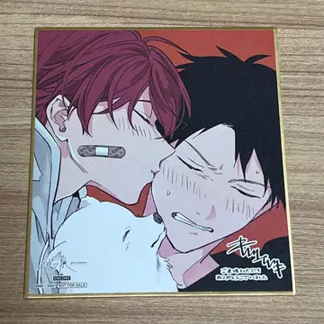 기븐전 색지 사토 마후유 카미노야 리츠카