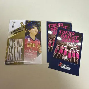 도쿄 그레이트 베어즈 그레베어 V 콜렉션 리얼 카드 야나기타 마사히로