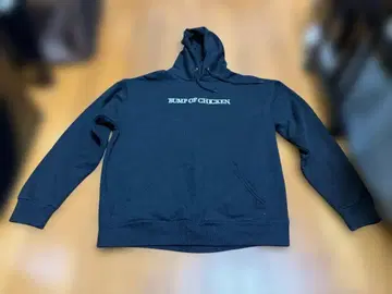 BUMP OF CHICKEN Silver Jubilee 후드티 L 사이즈