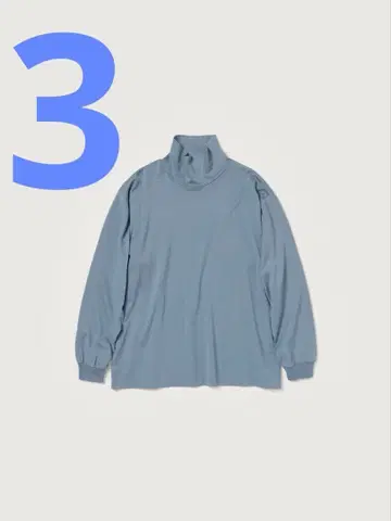 AURALEE LUSTER PLATING HI NECK L/S TEE 3