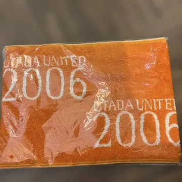 우타다 히카루 타월 2006년