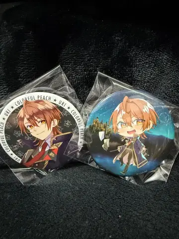 컬러풀 피치 우리 마법학원 캔뱃지