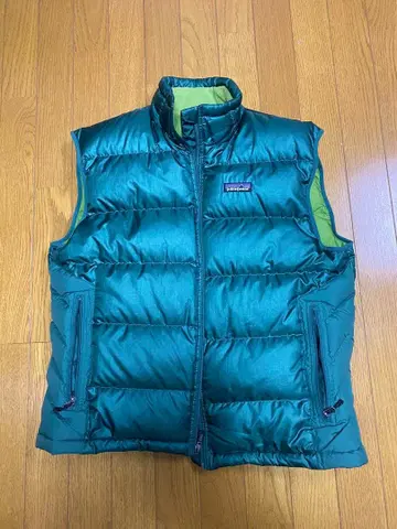 patagonia 남성용 다운 베스트 M 그린