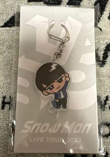 Snow Man 와타나베 쇼타 스노치루 교수형 시리즈 아크릴 키링