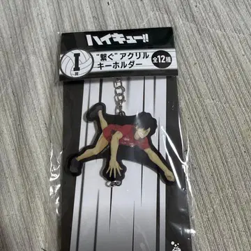 하이큐!! 아크릴 키링