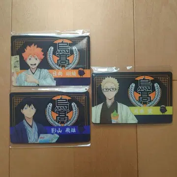 하이큐 야츠하시 패스 참 세트