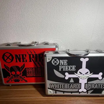 원피스 주얼민 케이스